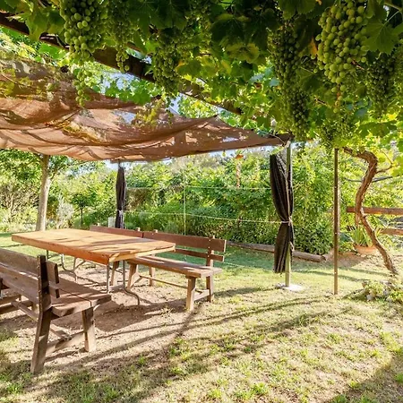 Casa Marco - Hospitality In A Rural Enviroment Costean